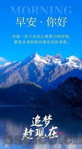 91啪精品麻豆buz在线播放-91啪精品麻豆·BUZ，网络时代的视听盛宴