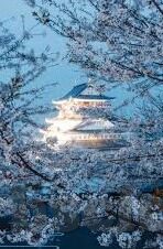 av一区二区在线观看-解锁视听新境界，探索AV一区二区在线观看的多元体验