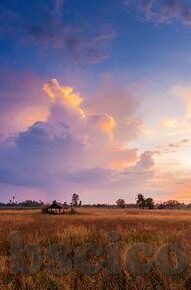 欧美一区二区精品-欧美一区二区精品，艺术与文化的独特魅力