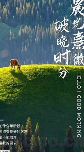 糖心直播app官方版-体验糖心直播APP，解锁全新在线娱乐的互动之旅