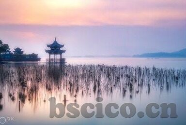 无码中文字幕一区二区三区-探索网络世界的多元文化，中文无码字幕的独特魅力